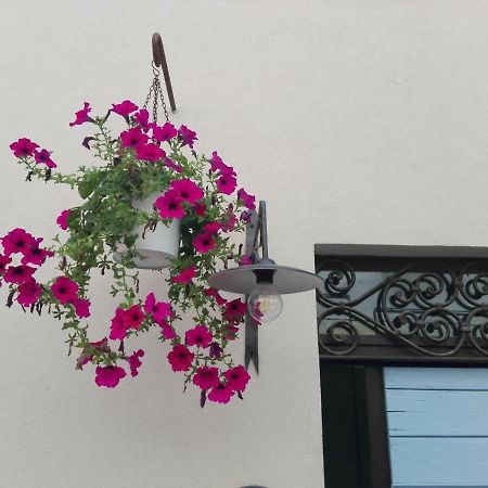 Tambien B&B Pesaro Dış mekan fotoğraf