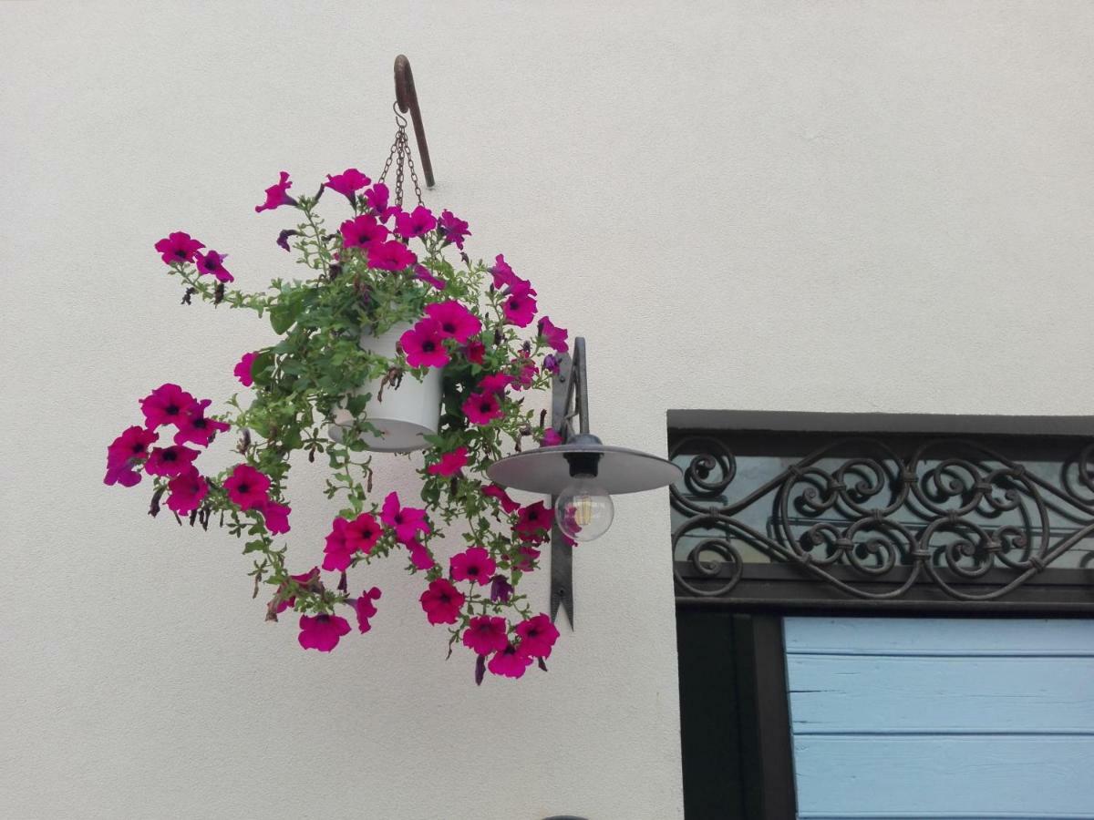 Tambien B&B Pesaro Dış mekan fotoğraf